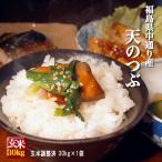 米 お米 令和5年産 福島県中通り産 天のつぶ 玄米:30kg(白米:約27kg) 精米無料 送料無料 ※沖縄県・離島対応不可