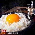 米 お米 令和5年産 福島県中通り産 コシヒカリ 玄米:30kg(白米:約27kg) 精米無料 送料無料 ※沖縄県・離島対応不可