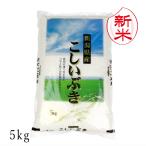 新米新潟県産こしいぶき5kg白米玄...
