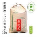 新潟県産こしいぶき 令和4年産 玄米 30kg 送料無料 本州のみ