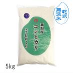 【 無洗米 ( 乾式 )】 新潟県産 コシヒカリ ( 令和6年産 ) 5kg 【 送料無料 (本州のみ)】 新潟 贈り物 米
