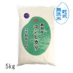 お米 5kg 【 無洗米 （ 