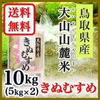 ショッピングお米 お米 白米 鳥取県産 きぬむすめ 5kg 2袋 令和5年産