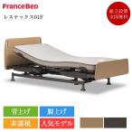  освобожденный от налогов France Bed электрический bed одиночный отсутствует Tec s01F 2 motor микро RX-DLX | стандартный товар с матрацем специальная кровать 