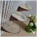 小動物用 足場 台 ステップ ケージに取り付け かじり木 シマリス 小鳥 モモンガ チンチラ ハムスター