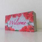 ڥǥ󥵥ۥ󥬥֥åå 륫ࡡҾֹ W11-R