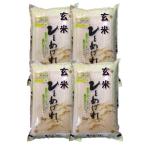 【玄米】 福島県会津産ひとめぼれ20kg　(5kg×4袋) 令和7年産 石抜き処理済