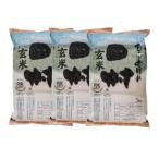 【玄米】 福島県田村産ひとめぼれ15kg　(5kg×3袋) 令和7年産 石抜き処理済
