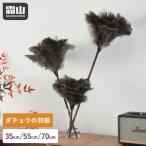  перьевая метёлка Ostrich 35cm 55cm 70cm пыль брать . перо duster страус. перо перо перьевая метёлка портативный стеклоочиститель портативный швабра модный . гора бесплатная доставка по всей стране 