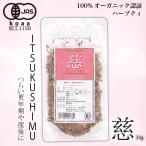 慈 Itsukushimu(Women's Balance)　33g オリジ