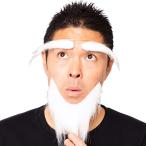 宴会の達人 科学者の眉毛とひげ 白 付け髭 ひげ ヒゲ 髭 宴会 パーティー イベント コスプレグッズ パーティーグッズ  クリアストーン 4560320891710