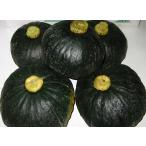 [ сельское хозяйство дом прямая поставка ]( близко глициния сельское хозяйство .) Hokkaido .. гора . производство [ юг .]4~6 шар ввод 