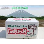 【近藤農園】(農家直送)北海道羊蹄山麓産【きたあかり(Sサイズ)】 10kg