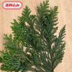 asnaro лист 3 листов Tokushima производство натуральный материалы для цветочной композиции кулинария постановка для 