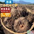 2023年度秋冬収穫｜期間限定 こんにゃく芋 冷凍 群馬県産 みやままさり こんにゃくパーク 生芋こんにゃく 産地直送 1kg 凝固剤10gサービス