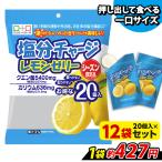 ゼリー 塩分チャージレモンゼリー 熱中症対策 夏限定 ひとくちゼリー パウチ こんにゃくパーク 個包装 塩分補給 (1袋20個入*12袋)