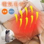 電気毛布 ひざ掛け 掛け敷き 洗える 着る電気毛布 大きいサイズ USB給電式 掛け毛布 発熱 電熱 肩掛け 電気ブランケット ヒーター付き 裏起毛 寒さ対策  防寒