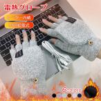 ヒーター手袋 電熱手袋 グローブ USB