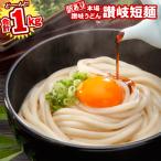 訳あり 讃岐短麺 半生讃岐うどん 100