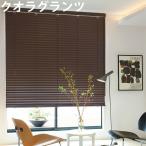 ニチベイ ブラインド クオラグランツ50 B2001〜B2027 ループコード式 幅141〜160cm×丈201〜220cm