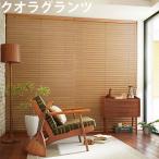 ニチベイ ブラインド クオラグランツ50 B2102〜B2108 ループコード式 幅141〜160cm×丈201〜220cm