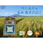 玄米　特別栽培米　青