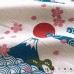 コンテックス(kontex)　�