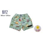 ショッピングBit\\\'z BIT'Z ／ ビッツ 子供服 　恐竜図鑑総柄トランク水着　UVカット 　男の子 　SS