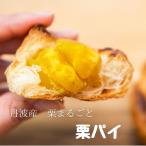  каштан Tanba каштан marron пирог каштан пирог пирог 6 штук японские сладости кондитерские изделия Tanba . гора . земля производство Tanba 