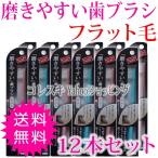 磨きやすい歯ブラシ 12本セット (スタンダード・フラット毛) 歯ブラシ職人 田辺さん 田辺重吉 考案 通常送料無料