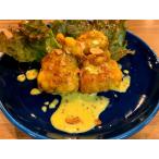 Yahoo! Yahoo!ショッピング(ヤフー ショッピング)大豆ミートのヤンニョムチキンハニーマスタード