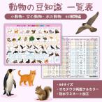 動物の豆知識一覧表【小動物・空の動物・水の動物　44種類編】A4サイズ・オモテウラ両面フルカラー・防水ラミネート加工 癒しの一枚　プレゼントに♪