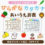 イラストでおぼえる　ひらがな・カタカナ表　お子様の学習に　知育　防水ラミネート加工