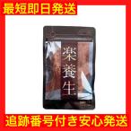 楽養生 90錠 (30日分) 歯周病薬 歯痛 歯肉炎 歯茎 ［指定医薬部外品］サプリ サプリメント