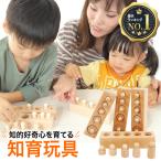 知育 おもちゃ パズル 3歳 4歳 5歳 モンテソッリー教具 木製パズル モンテソッリー教具 クリスマスプレゼント