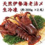  натуральный Исэ город море ... сырой рефрижератор 300g×2 хвост 