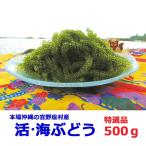 海ぶどう　沖縄　500g　特選品　活海ぶどう　宜野座村産