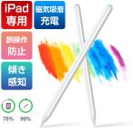 【iPad専用】 タッチペン ipad スタイラスペン 誤操作防止 細い 軽量 パームリジェクション機能 高感度 途切れ/遅延/ズレなし iPad タッチペン