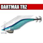 エコギア(マルキュー)ダートマックスTRZ 【30g】