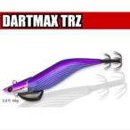 エコギア(マルキュー)ダートマックスTRZ 【40g】