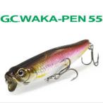 一誠 (イッセイ/issei)　GCワカペン55