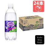 アサヒ飲料 ウィルキンソン炭酸 ダブルグレープ×24本 (4514603456110)
