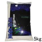 米 令和6年 新潟県産 コシヒカリ 5kg 新潟産 こしひかり 5kg 新潟県産 白米 分づき 新潟県産コシヒカリ 5キロ 妙高
