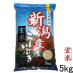 新米 玄米5kg  お米5kg 令和元年 新潟産こしいぶき(玄米） 美味しいお米 新米5kg 5キロ 新潟産5kg 玄米