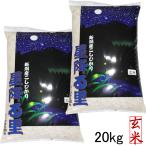 米 令和6年 新潟産 コシヒカリ 玄米 20kg 送料無料 お米 玄米20kg 10kg×2袋 新潟米 農家直送 こしひかり 20キロ 玄米
