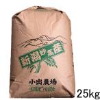 新米 令和5年 新潟産 コシヒカリ 25kg 送料無料 米 新潟米 紙袋 こしひかり 農家直送 お得用米 新潟県産 25kg こしひかり 精米 白米 お米