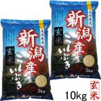 米 玄米 10kg 令和6年 新潟県 こしいぶき 玄米 10kg 5kg×2袋 米 玄米10キロ 農家直送 美味しい玄米 新潟県産米 安い 新潟県産 お米 10キロ