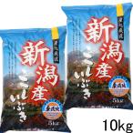 新米 無洗米 10kg 令和5年 新潟産 こしいぶき 米 10kg 無洗米 5kg×2袋 米10kg 農家直送  米１０キロ