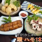 Yahoo! Yahoo!ショッピング(ヤフー ショッピング)国産 はも 骨切り加工 約180ｇ-250ｇ 真空パック冷凍  骨切り加工済み ハモ 鱧 すまし汁 高級食材 お取り寄せ グルメ 海鮮 おつまみ 送料無料