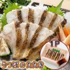Yahoo! Yahoo!ショッピング(ヤフー ショッピング)お試し 同梱に 高知 珍味 うつぼのたたき 100ｇ スライス タレ付 高級 海産 冷凍 真空パック トレイ 海鮮 お酒 おつまみ ウツボのたたき うつぼ